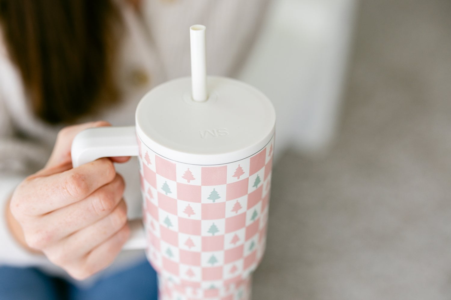 Simple Modern 30 fl oz Insulated Stainless Steel Trek Tumbler with Straw Lid | Seaglass Sage and Cream Checkmate - Pick 125