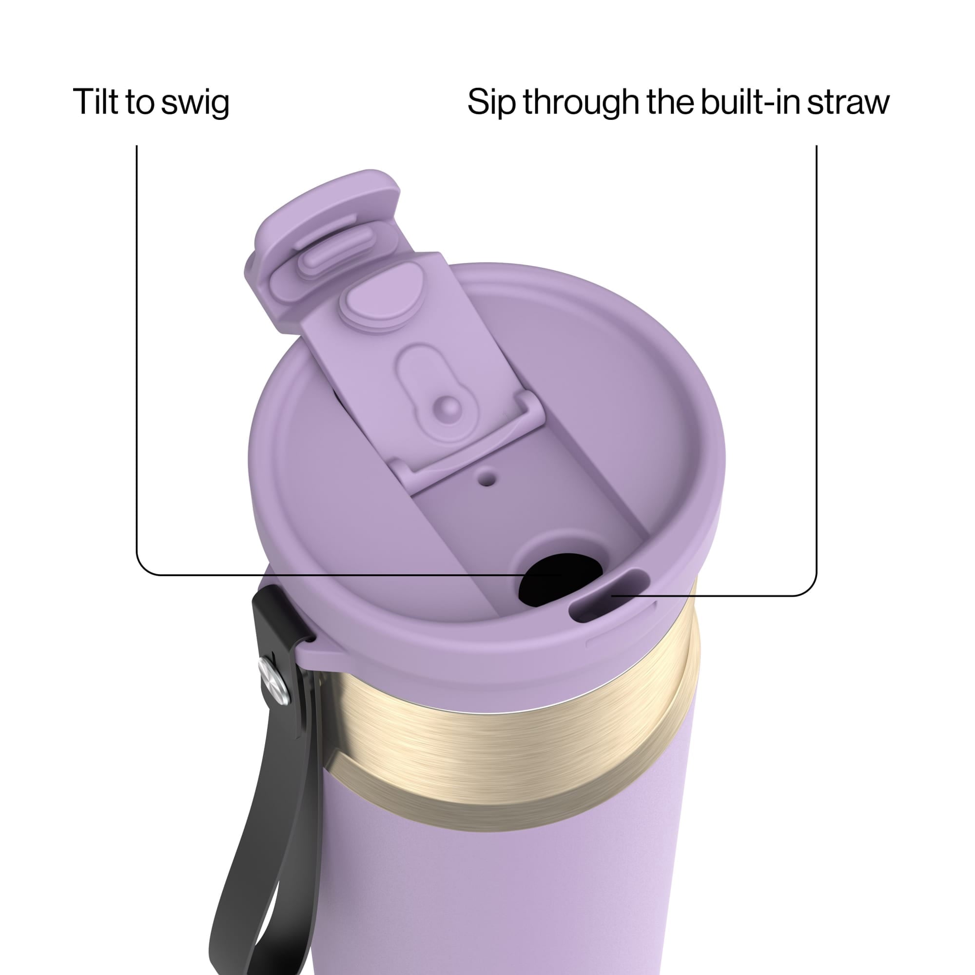 Contigo DualSip 24 oz Leakproof Insulated Water Bottle with Carrying Strap and 2-Way Lid - Pick 876