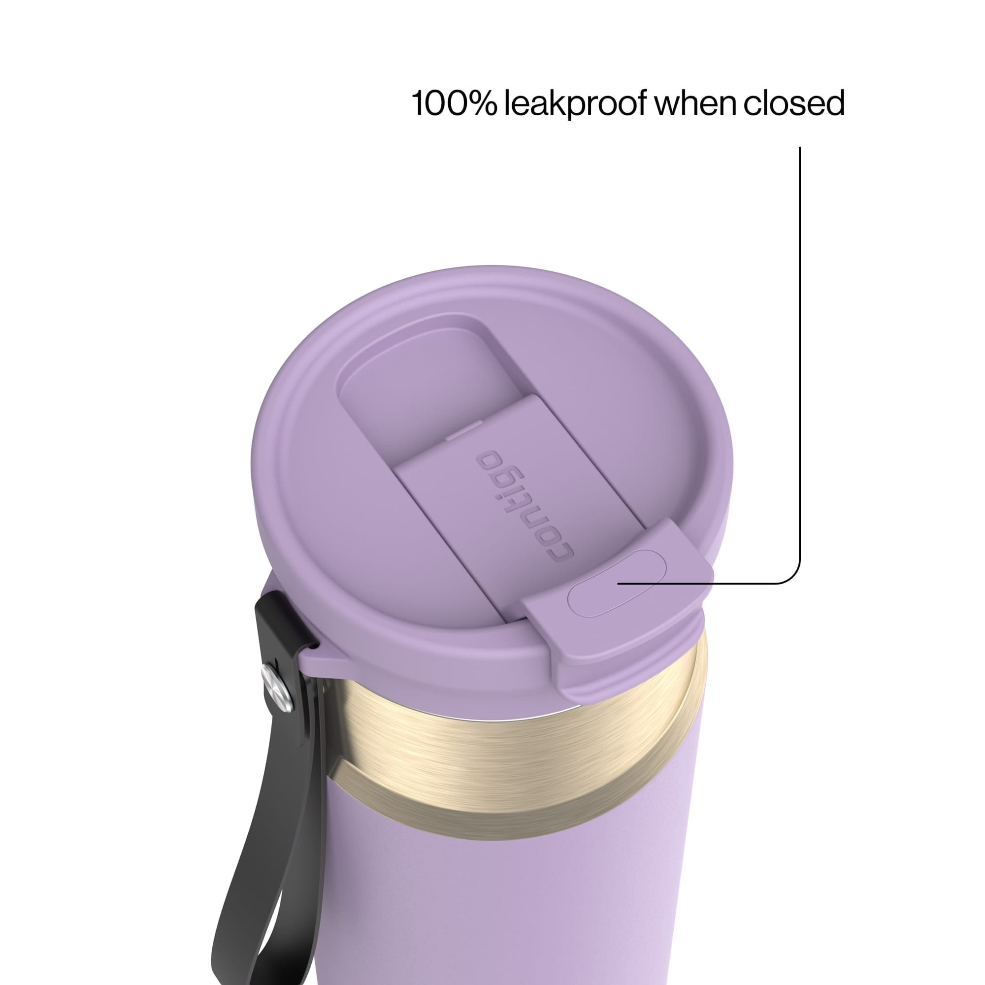 Contigo DualSip 24 oz Leakproof Insulated Water Bottle with Carrying Strap and 2-Way Lid - Pick 876