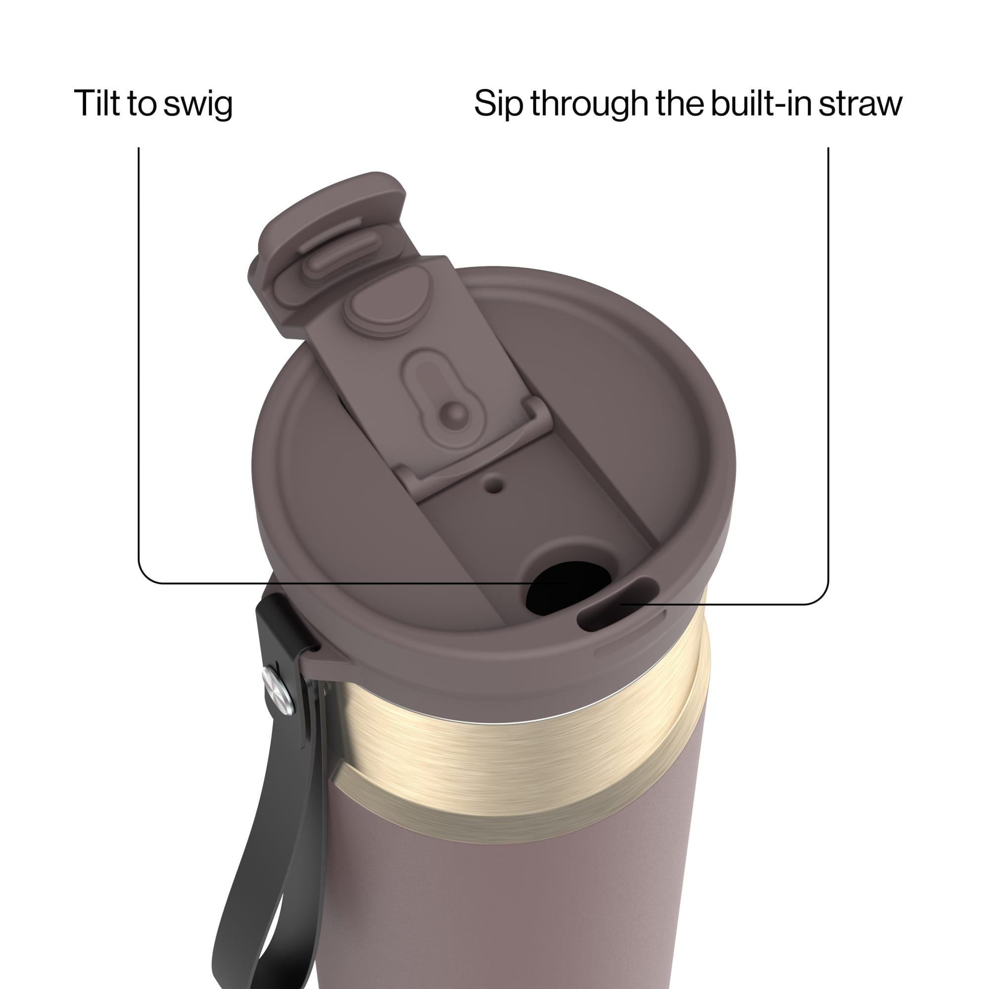 Contigo DualSip 24 oz Leakproof Insulated Water Bottle with Carrying Strap and 2-Way Lid - Pick 876