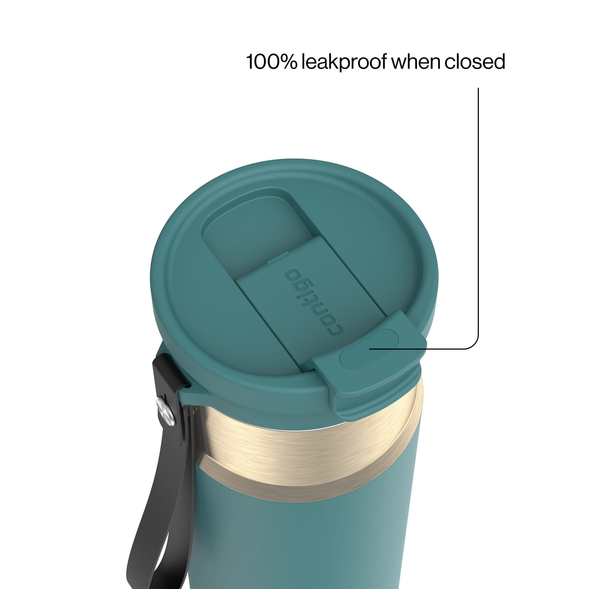 Contigo DualSip 24 oz Leakproof Insulated Water Bottle with Carrying Strap and 2-Way Lid - Pick 876