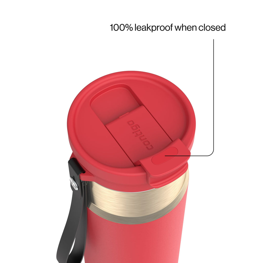 Contigo DualSip 24 oz Leakproof Insulated Water Bottle with Carrying Strap and 2-Way Lid - Pick 876