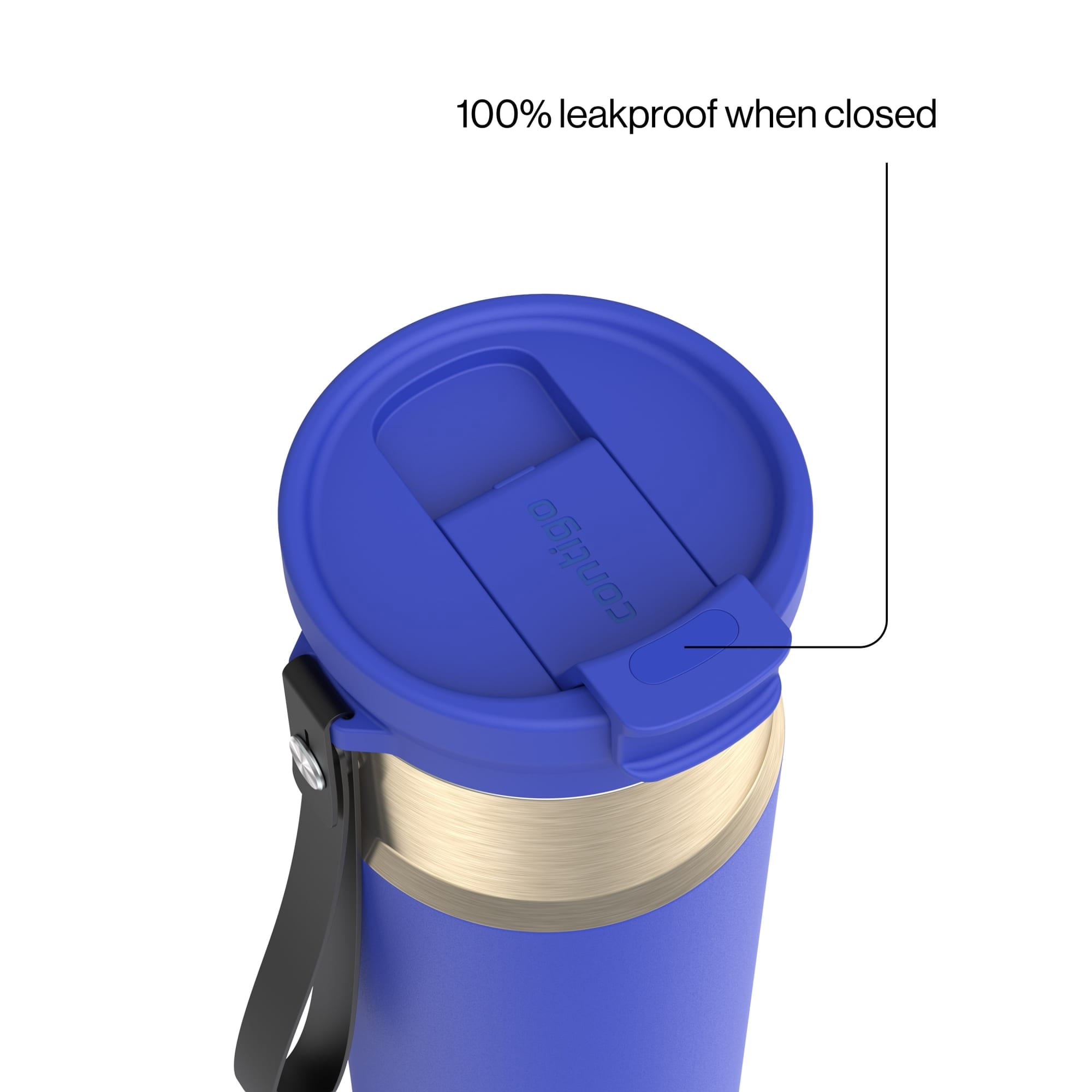 Contigo DualSip 24 oz Leakproof Insulated Water Bottle with Carrying Strap and 2-Way Lid - Pick 876