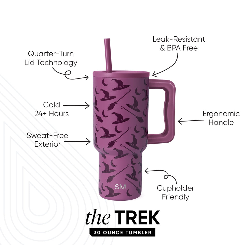 Simple Modern 30 fl oz Insulated Stainless Steel Trek Tumbler with Straw Lid | Seaglass Sage and Cream Checkmate - Pick 125
