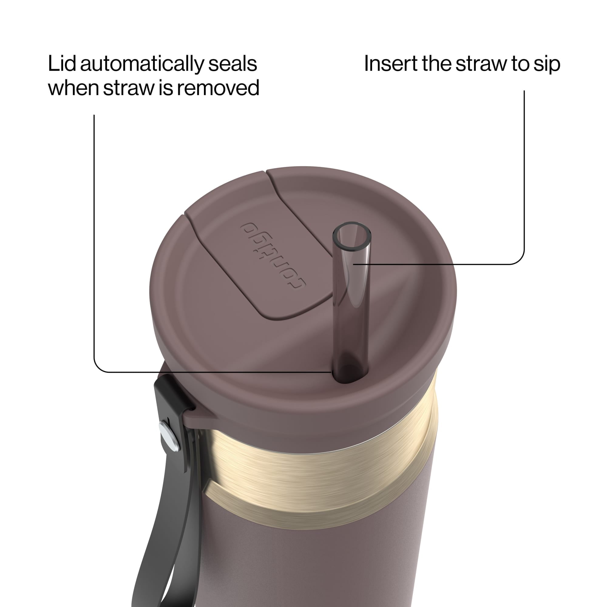 Contigo SnapSeal Leakproof Stainless Steel Reusable Water Bottle with Carrying Strap, Dark Blue/Bronze, 24 oz - Pick 589