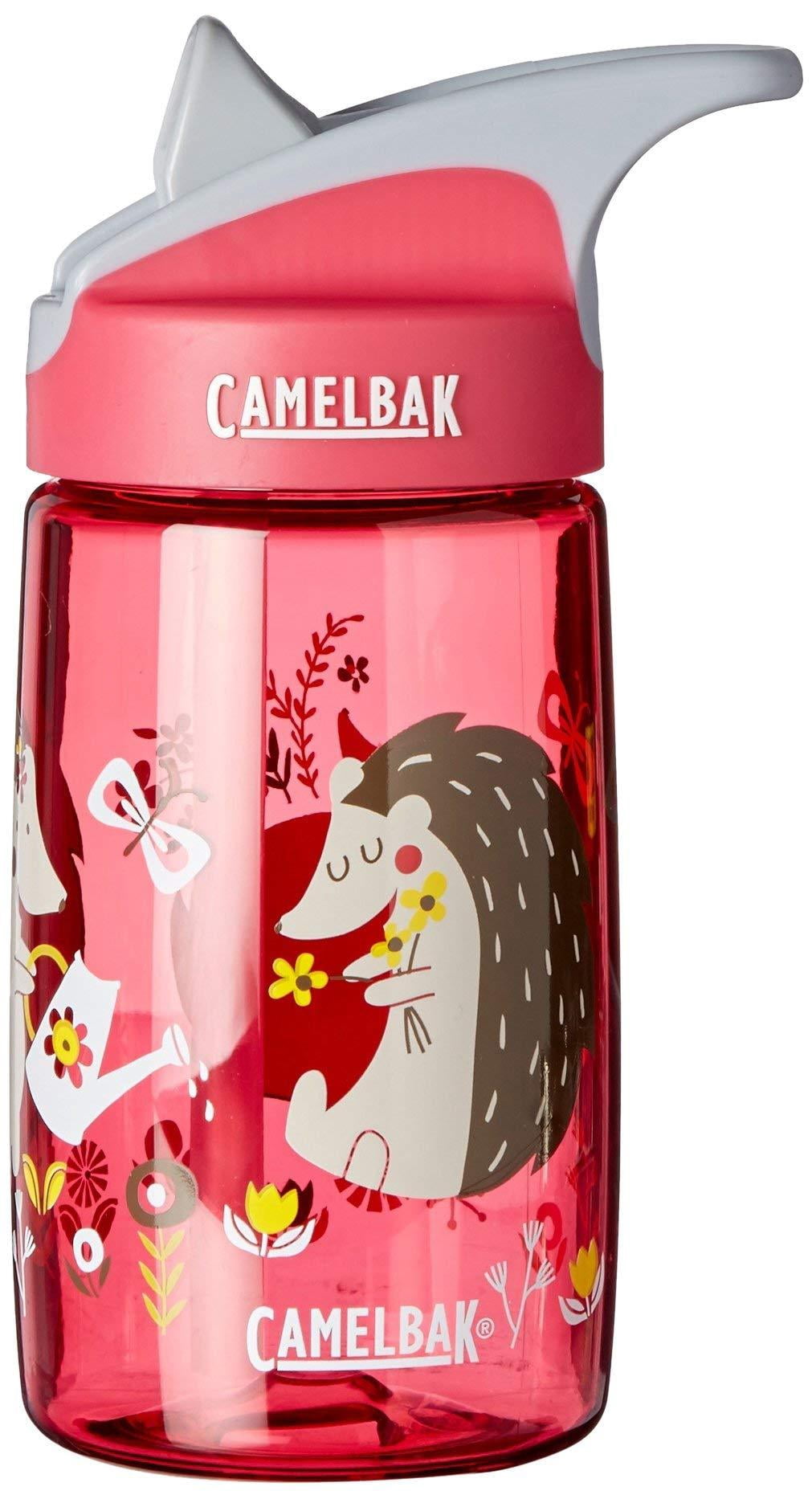 CamelBak Eddy Kids Water Bottle, Airplane Bandits.4 L - Pick 938