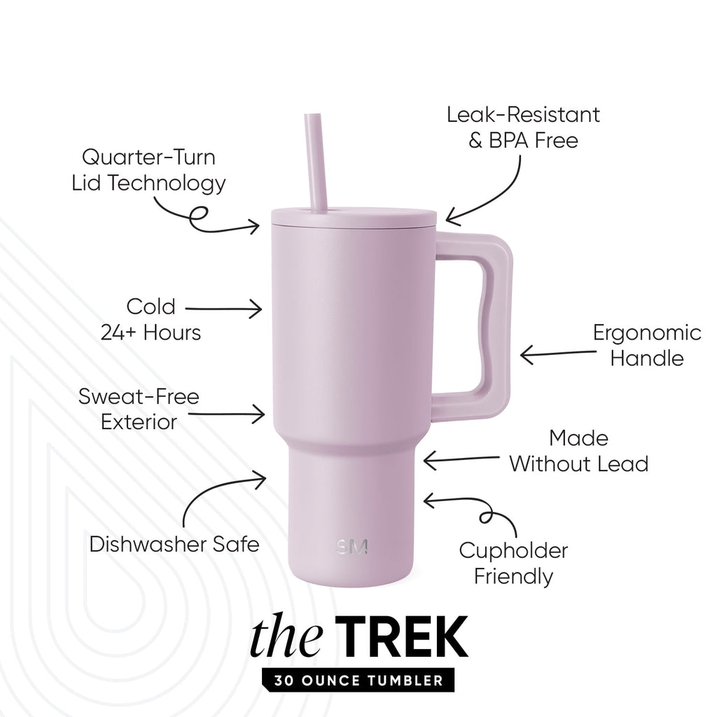 Simple Modern 30 fl oz Insulated Stainless Steel Trek Tumbler with Straw Lid | Seaglass Sage and Cream Checkmate - Pick 125