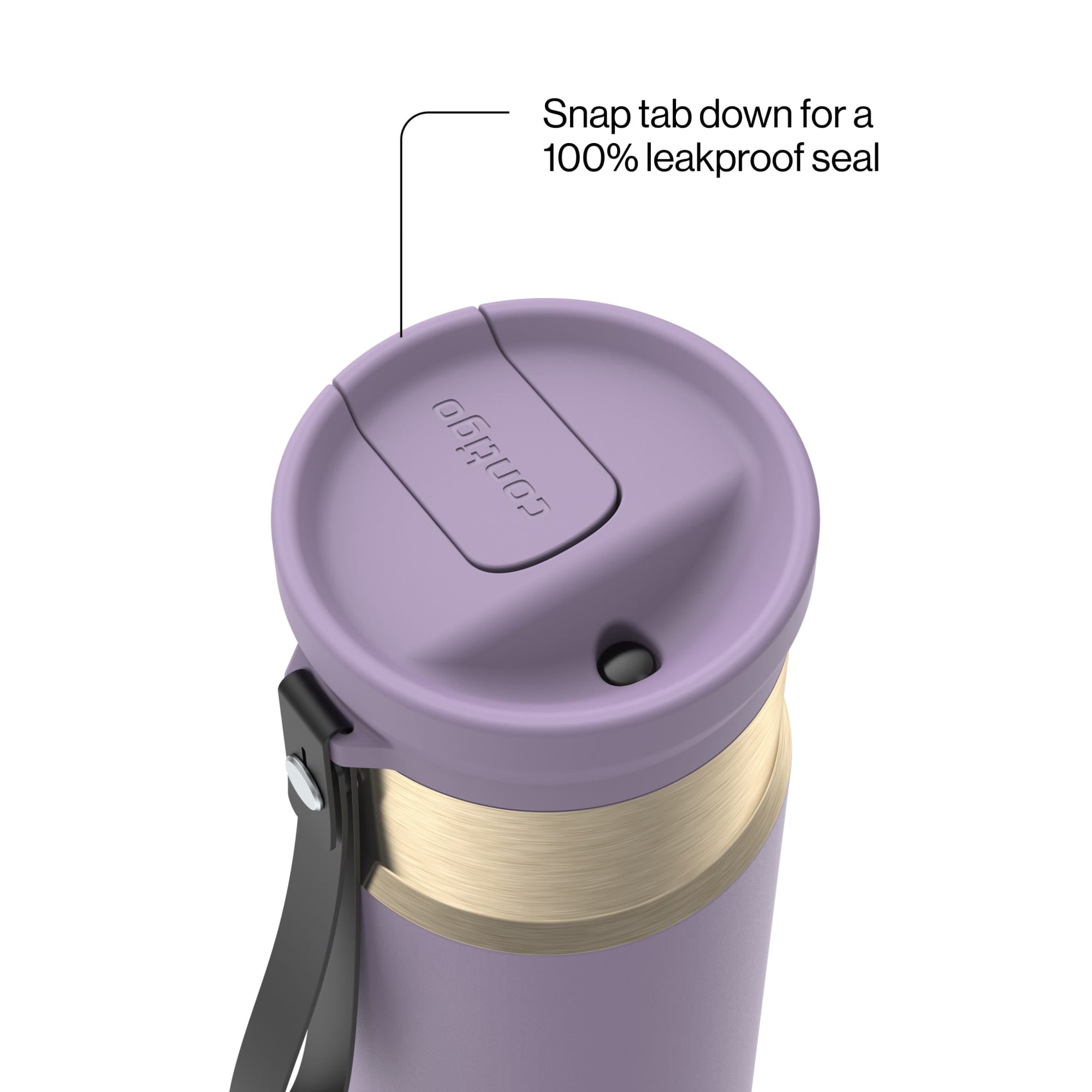 Contigo SnapSeal 16 oz Leakproof Stainless Steel Water Bottle with Carrying Strap - Pick 354