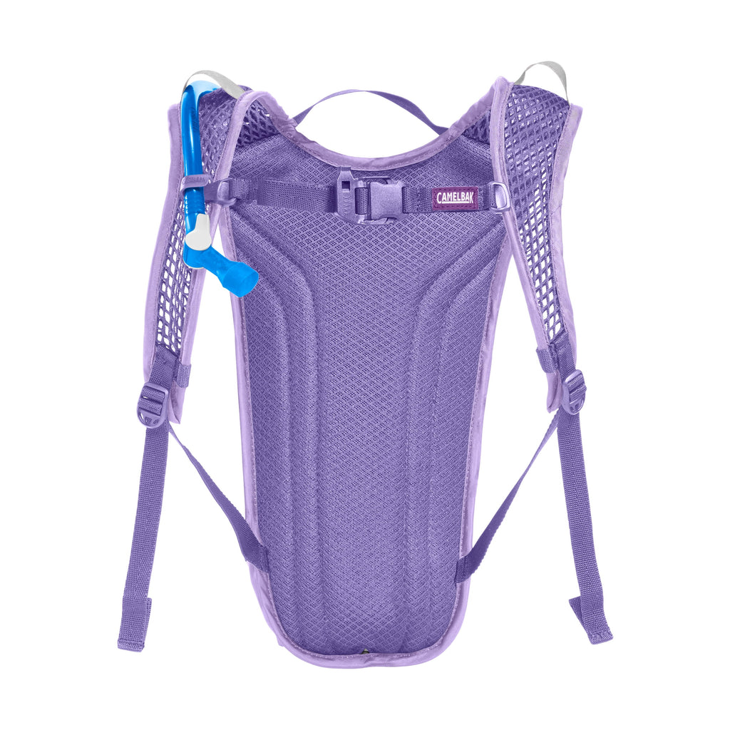CamelBak Mini M.U.L.E.® 50 oz Hydration Pack, Sharks - Pick 465