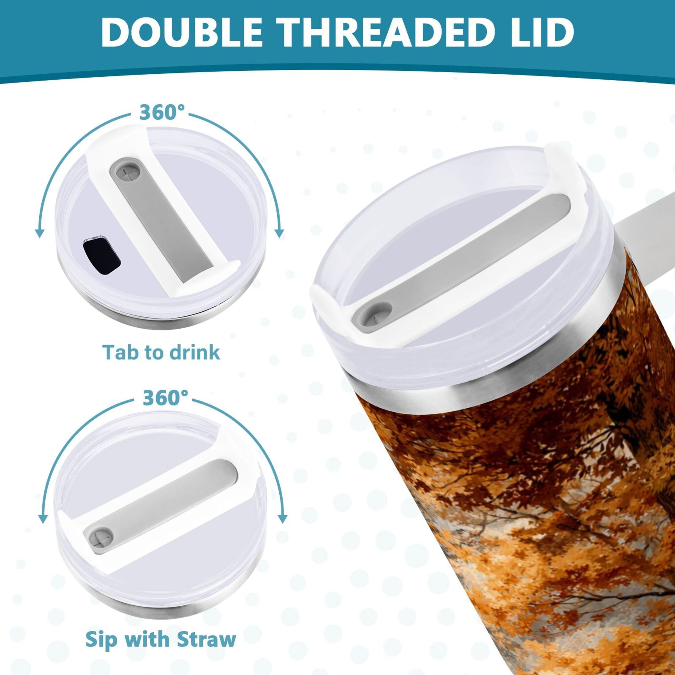 30 oz Insulated Stainless Steel Tumbler Double Wall Stainless Steel Tumbler with 2-Way Drinking Beautiful Autumn Forest - Pick 763