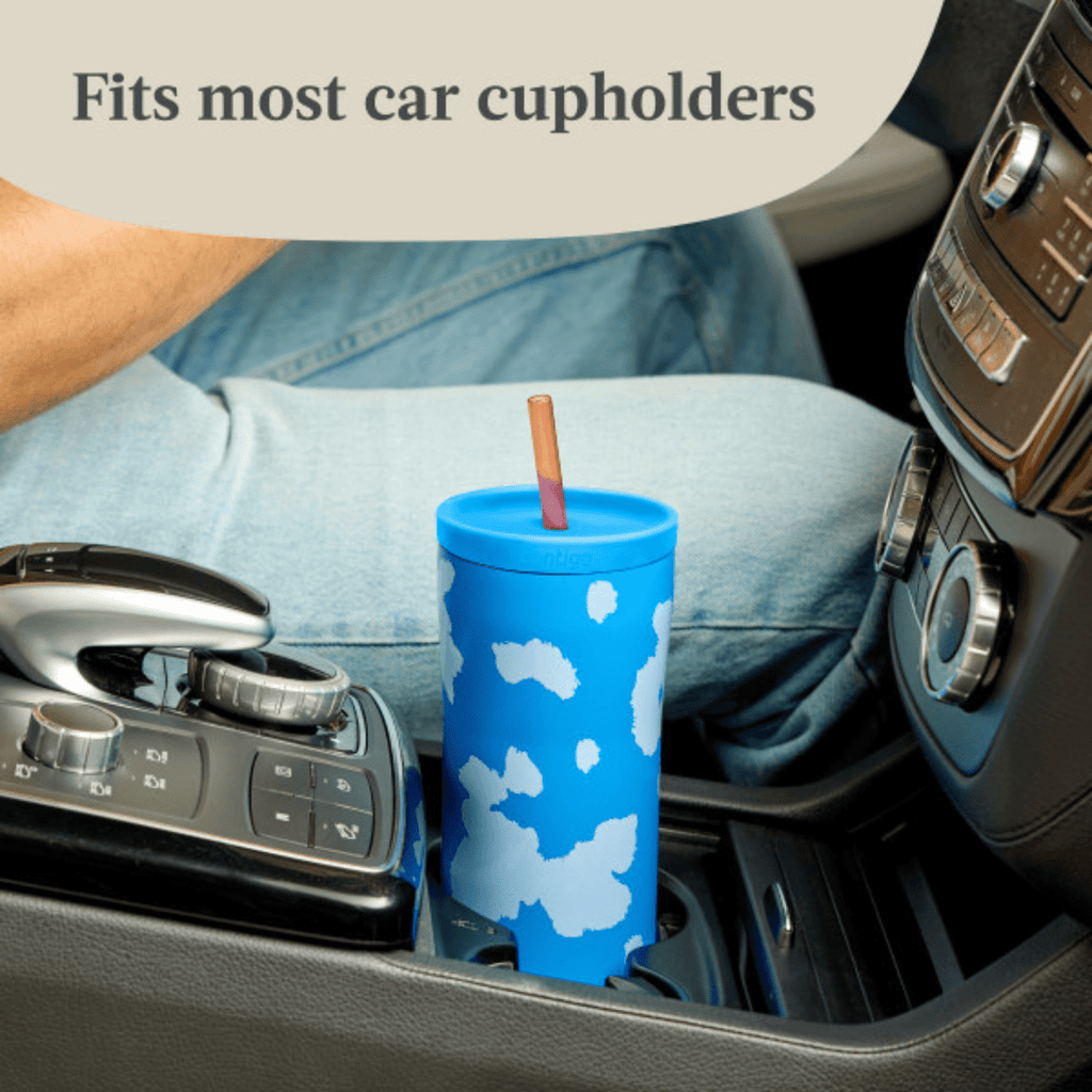 Contigo x Ally Love Streeterville 2.0 Stainless Steel Tumbler with Straw, 24 oz, Stellar Jay - Pick 377