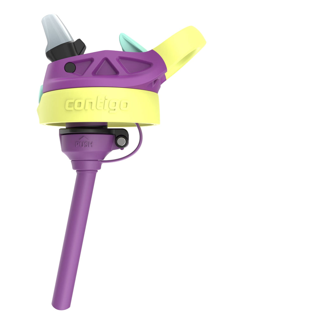 (4 pack) Contigo Kids Water Bottle with Redesigned AUTOSPOUT Straw, 14 oz, Grape Forest Haven - Pick 339
