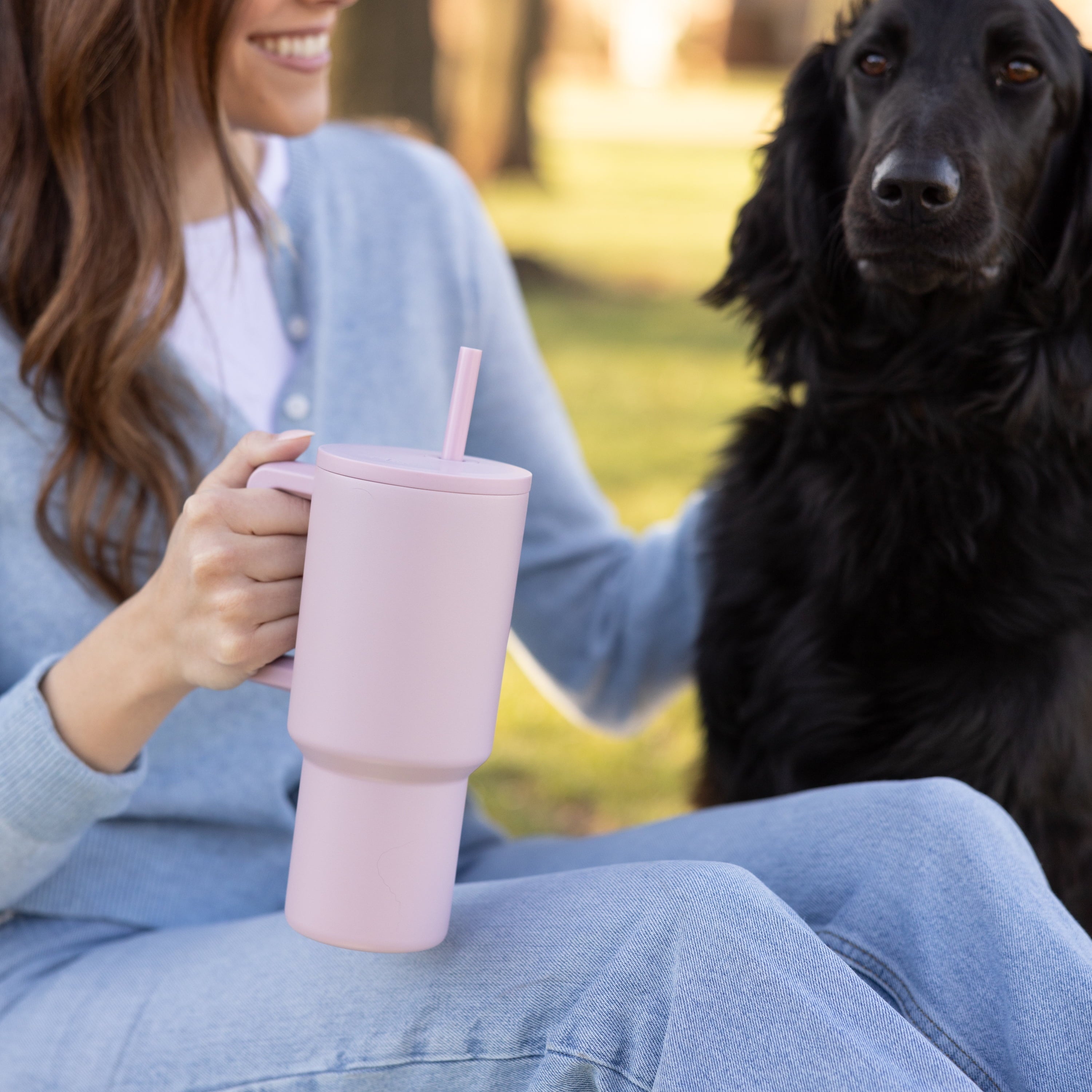 Simple Modern 30 fl oz Insulated Stainless Steel Trek Tumbler with Straw Lid | Seaglass Sage and Cream Checkmate - Pick 125