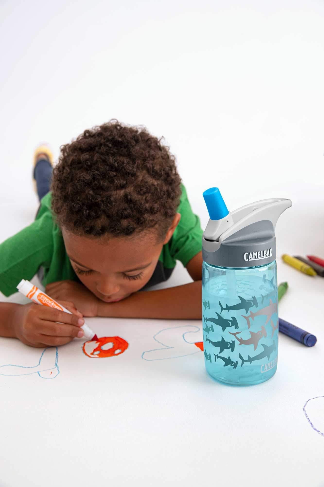 CamelBak Eddy Kids BPA Free Water Bottle Airplane Bandits Bottle Only - Pick 518