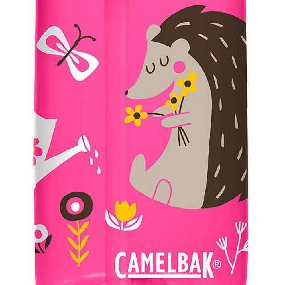 CamelBak Eddy Kids BPA Free Water Bottle Airplane Bandits Bottle Only - Pick 518