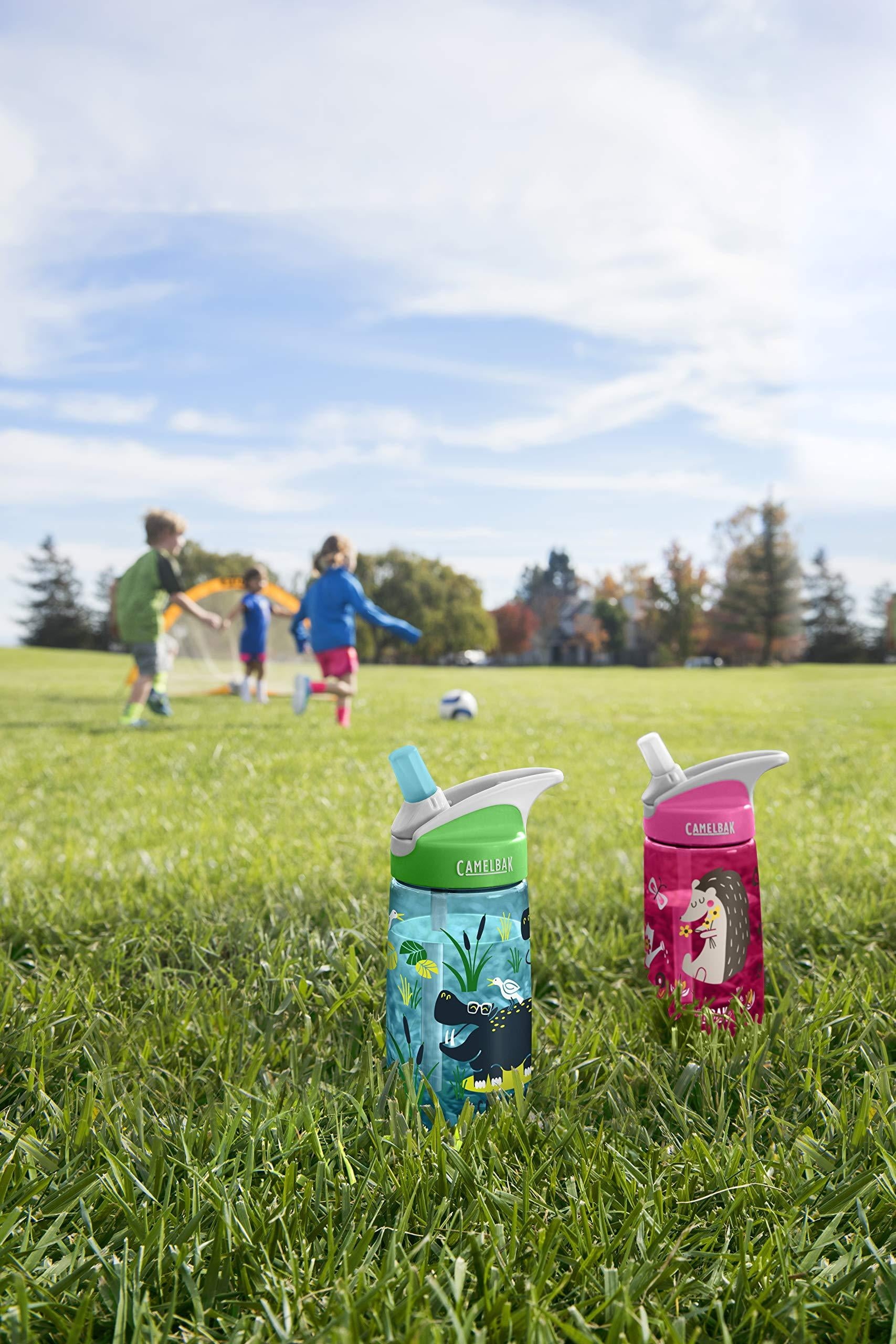 CamelBak Eddy Kids BPA Free Water Bottle Airplane Bandits Bottle Only - Pick 518