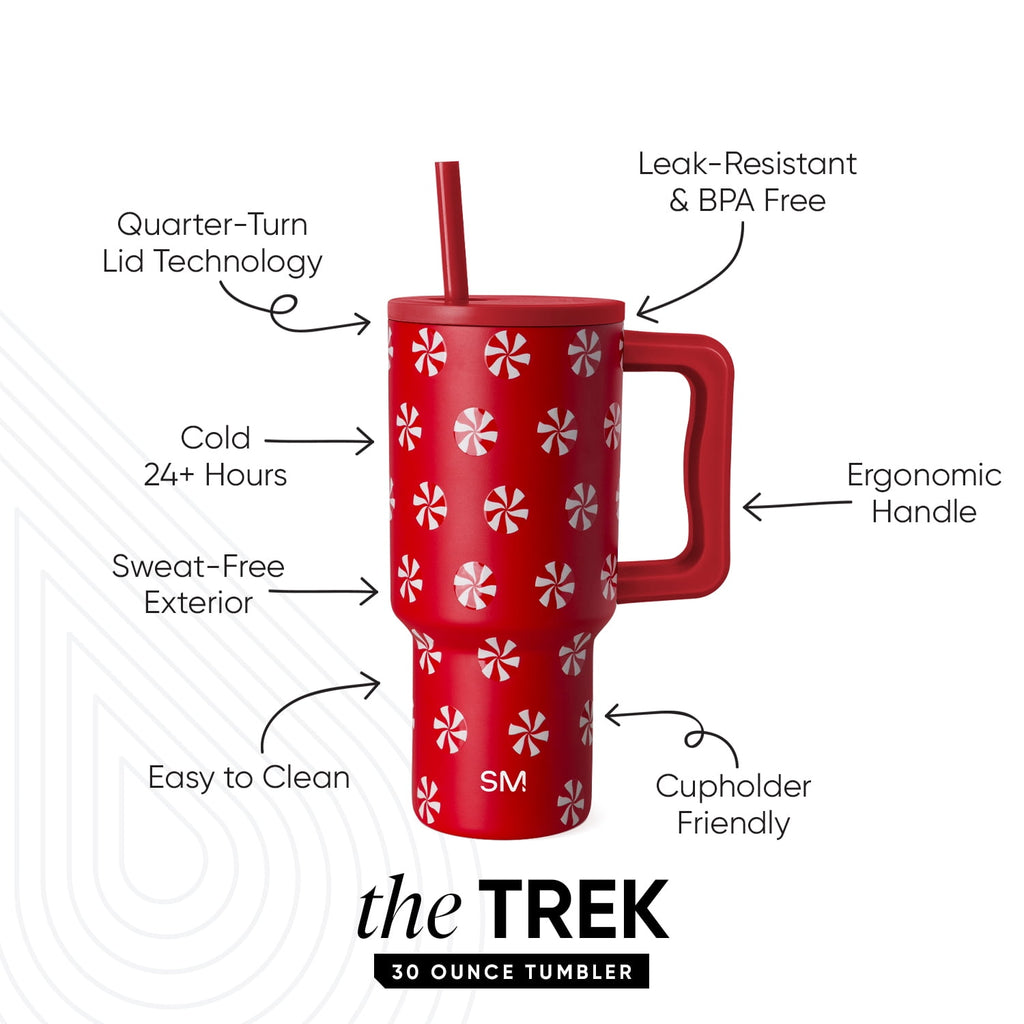 Simple Modern 30 fl oz Insulated Stainless Steel Trek Tumbler with Straw Lid | Seaglass Sage and Cream Checkmate - Pick 125