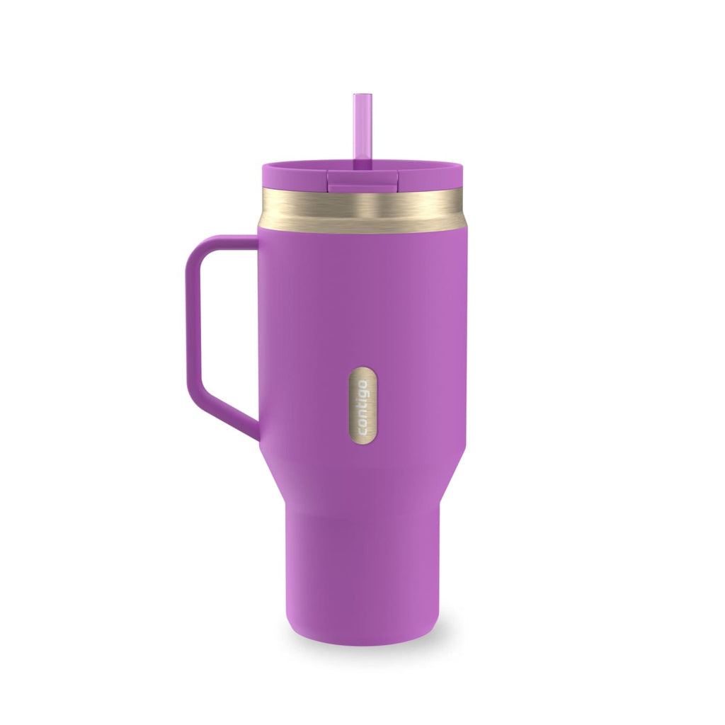 Contigo SnapSeal Leakproof Stainless Steel Reusable Water Bottle Tumbler with Side Handle, Black/Bronze, 30 oz - Pick 125
