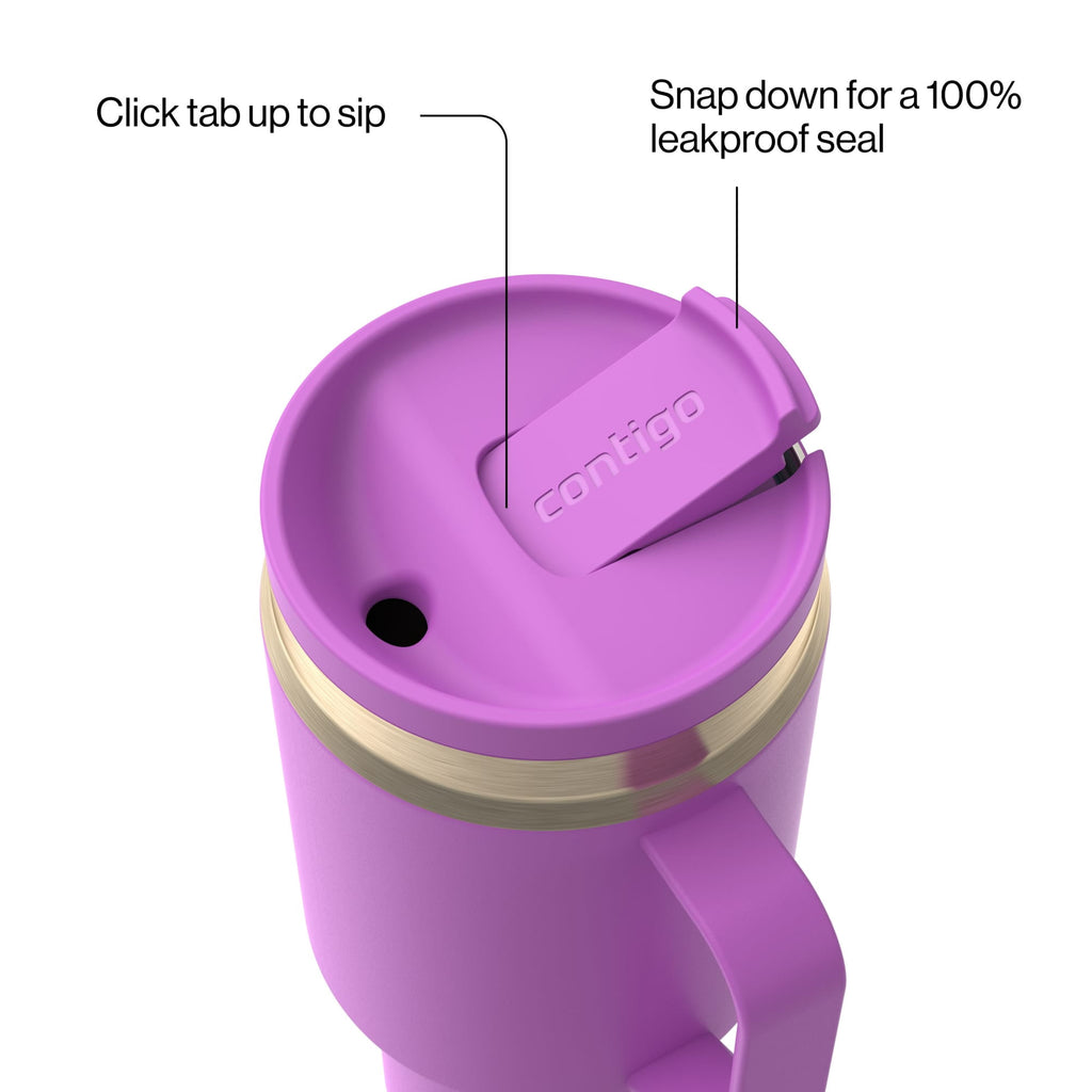 Contigo SnapSeal Leakproof Stainless Steel Reusable Water Bottle Tumbler with Side Handle, Black/Bronze, 30 oz - Pick 125