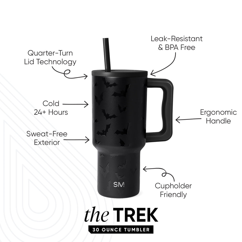 Simple Modern 30 fl oz Insulated Stainless Steel Trek Tumbler with Straw Lid | Seaglass Sage and Cream Checkmate - Pick 125